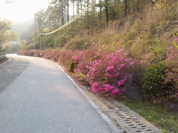 2a6d801fdbc523b789dd009d88e2c429_1430194