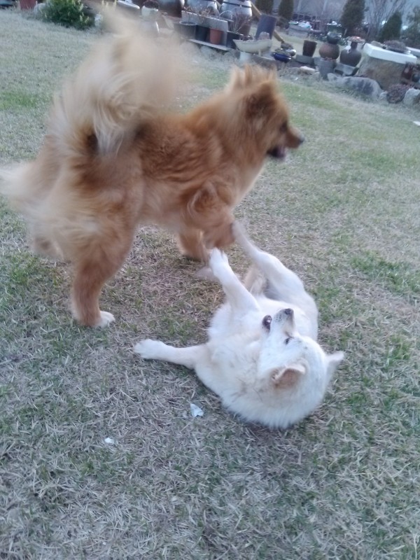 2a6d801fdbc523b789dd009d88e2c429_1430194