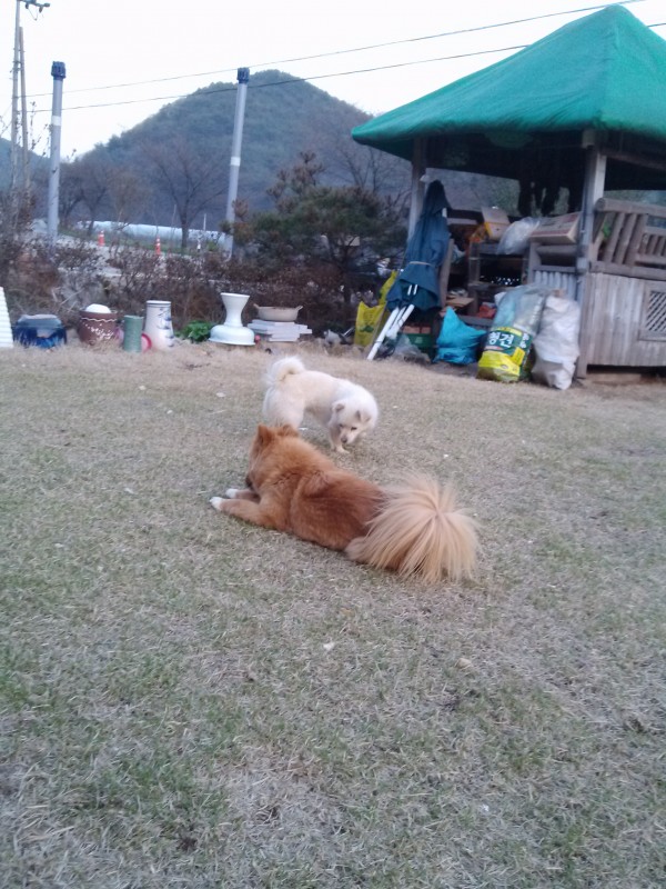 2a6d801fdbc523b789dd009d88e2c429_1430194