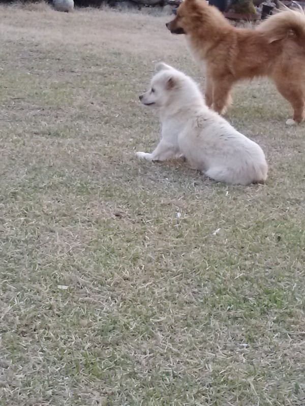 2a6d801fdbc523b789dd009d88e2c429_1430194