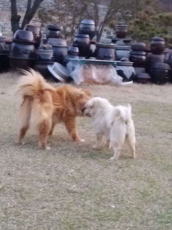 2a6d801fdbc523b789dd009d88e2c429_1430194