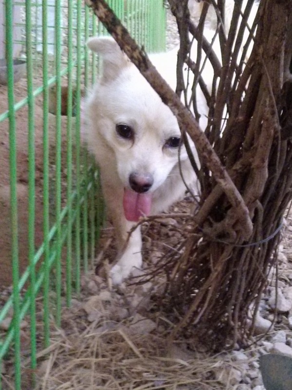 2a6d801fdbc523b789dd009d88e2c429_1430195