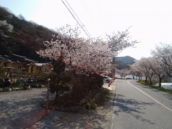 04ed8db8575691aae65715e91ad4bf19_1430462