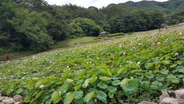 a31fedda40567f22401511486ddb67b6_1437263