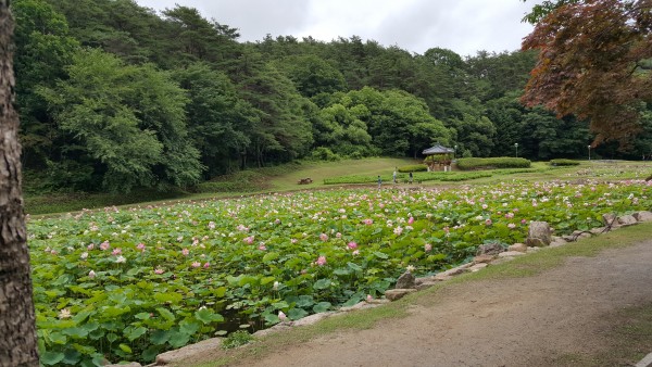 a31fedda40567f22401511486ddb67b6_1437263