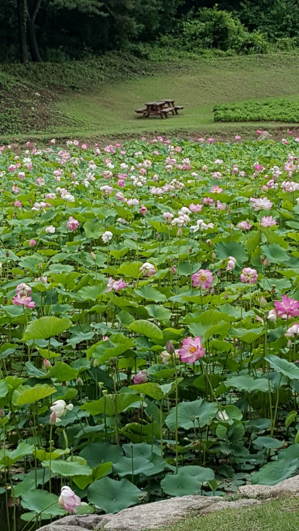 a31fedda40567f22401511486ddb67b6_1437263