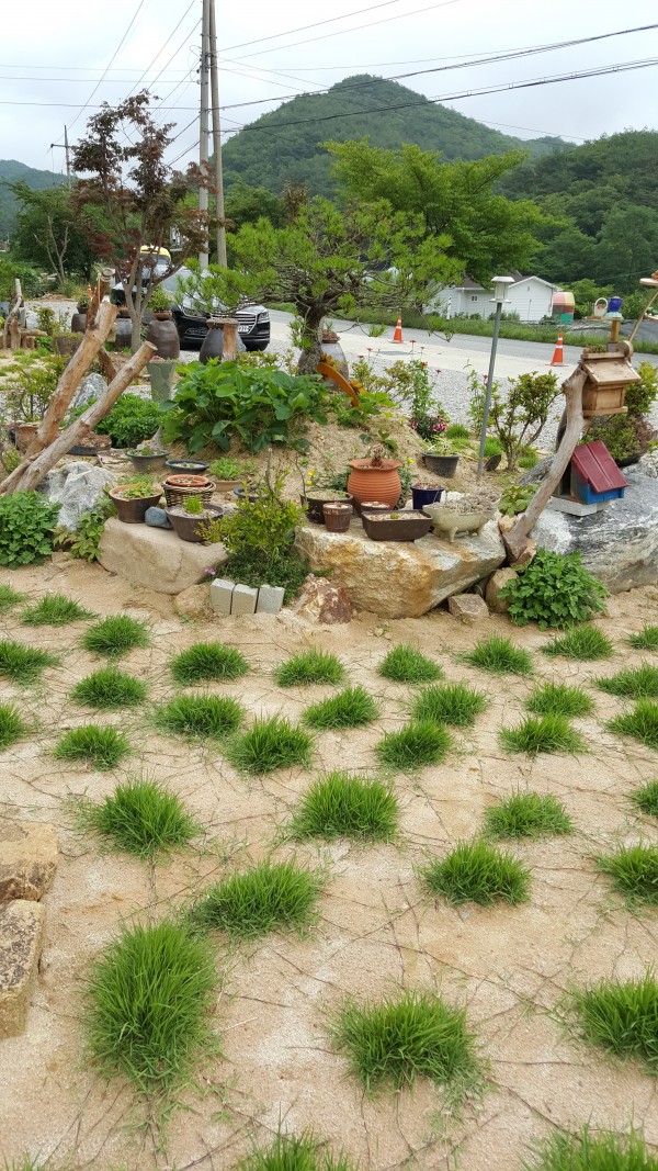 a31fedda40567f22401511486ddb67b6_1437263