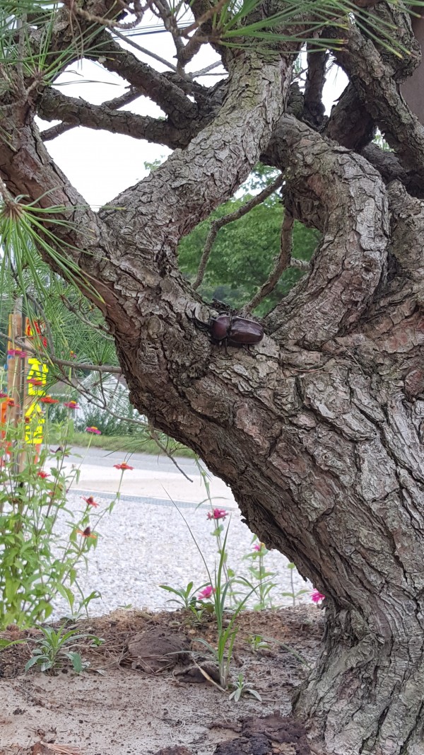 44db6ce2a4289763b79c75517c369d6c_1440206