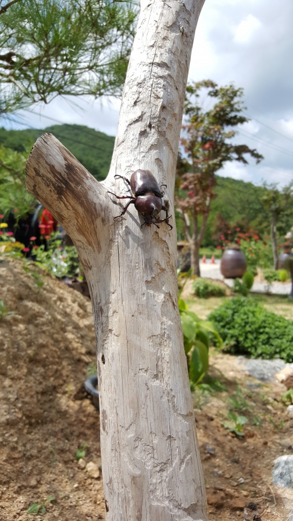 44db6ce2a4289763b79c75517c369d6c_1440206