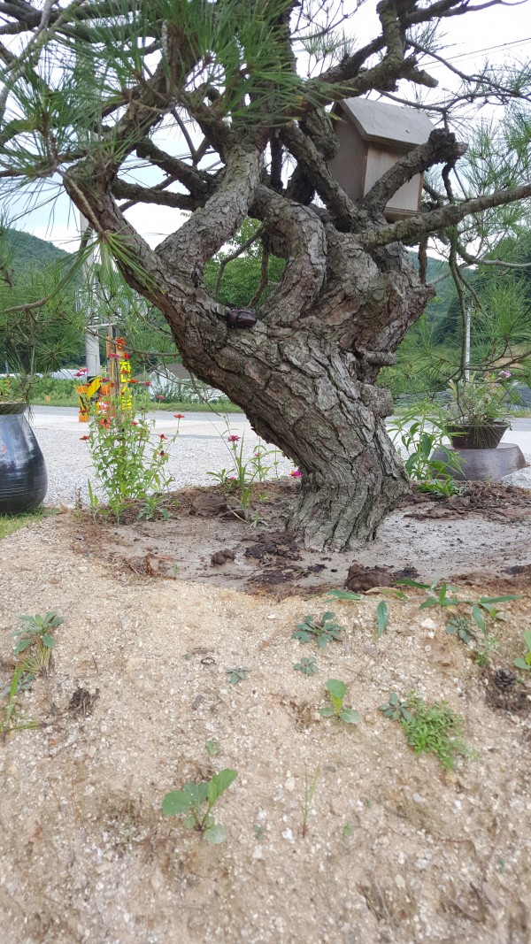 44db6ce2a4289763b79c75517c369d6c_1440207