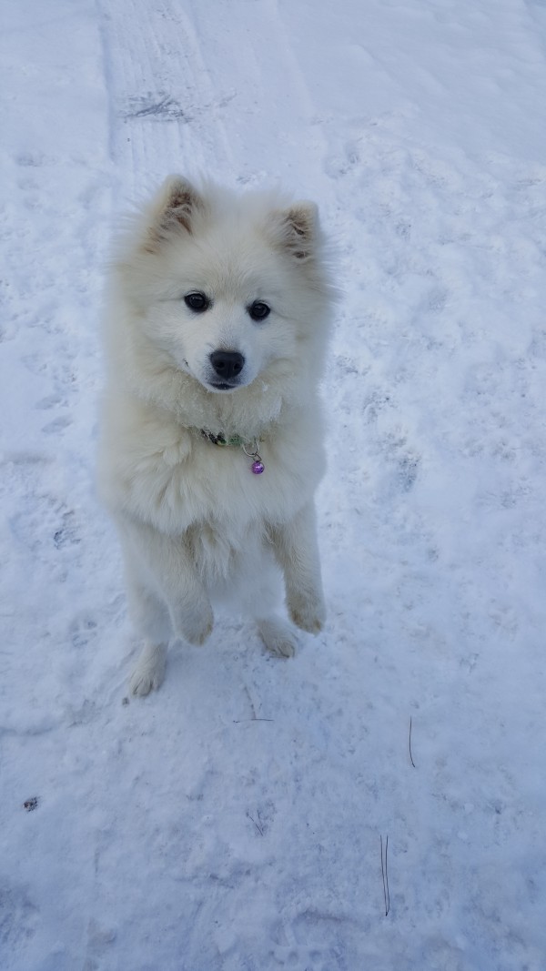 cbf53152e1ee89a08072dcb0955199a3_1455065