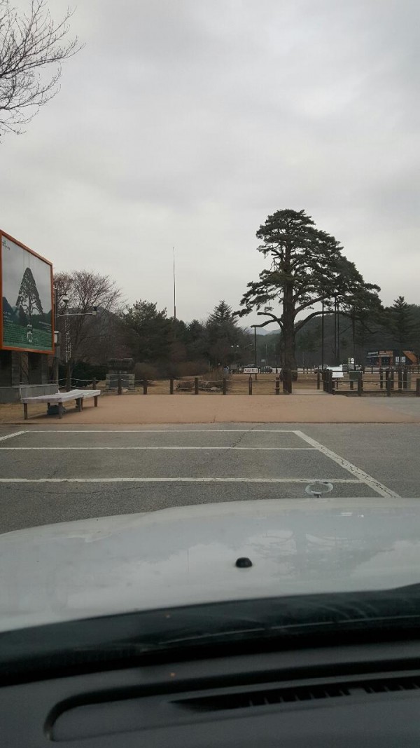 381c8db2490c164f6d894419c1591790_1457421