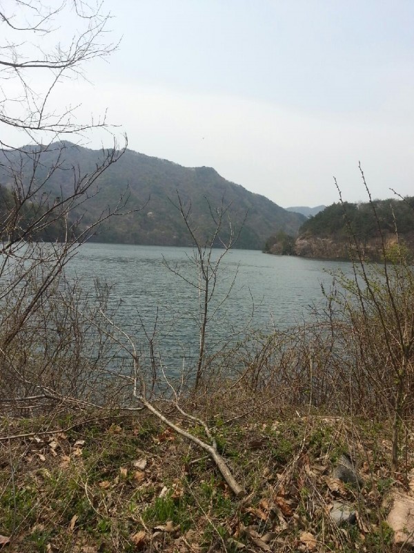 381c8db2490c164f6d894419c1591790_1457421