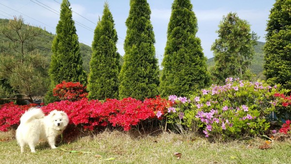 694f315ddfbaea21ca849f9c3dc292cf_1461902