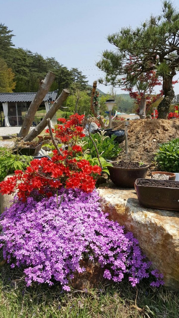 694f315ddfbaea21ca849f9c3dc292cf_1461902