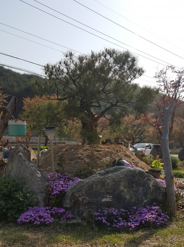 81334f1d95a709cff9518be1a6b63c0a_1461578