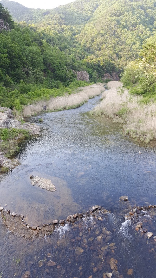 e20ece700b86ae44647a89bdcebf3ce8_1462972